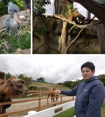 動物との和み