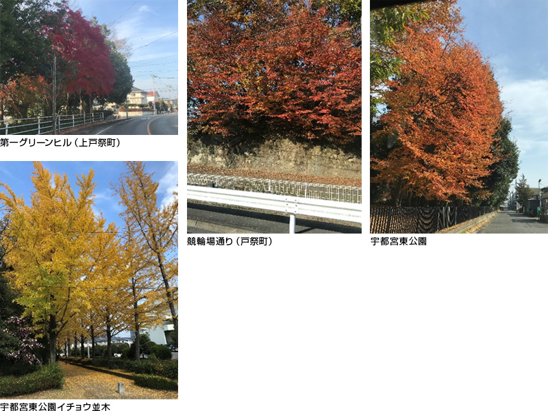 電気メータの取替工事